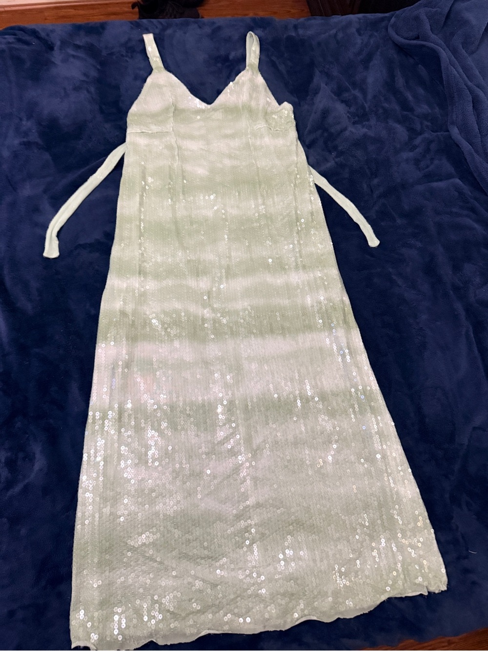 Zara Light Green Sequin Mesh “Wet” Side Slit Striped Elegant Maxi Wedding Large